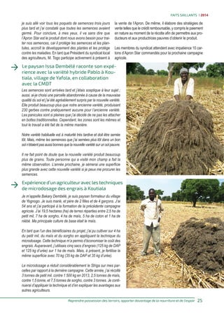 Success stories from the Africa Rising large-scale Diffusion of Technologies of Sorghum and Millet Systems project (French)