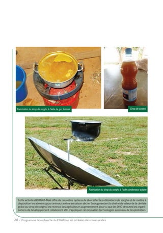 Dual-purpose sweet sorghum, a new option for farmers to increase their income (French)