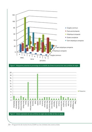 Sorghum landraces for development of diversified adaptable sorghum hybrids in Nigeria (French)
