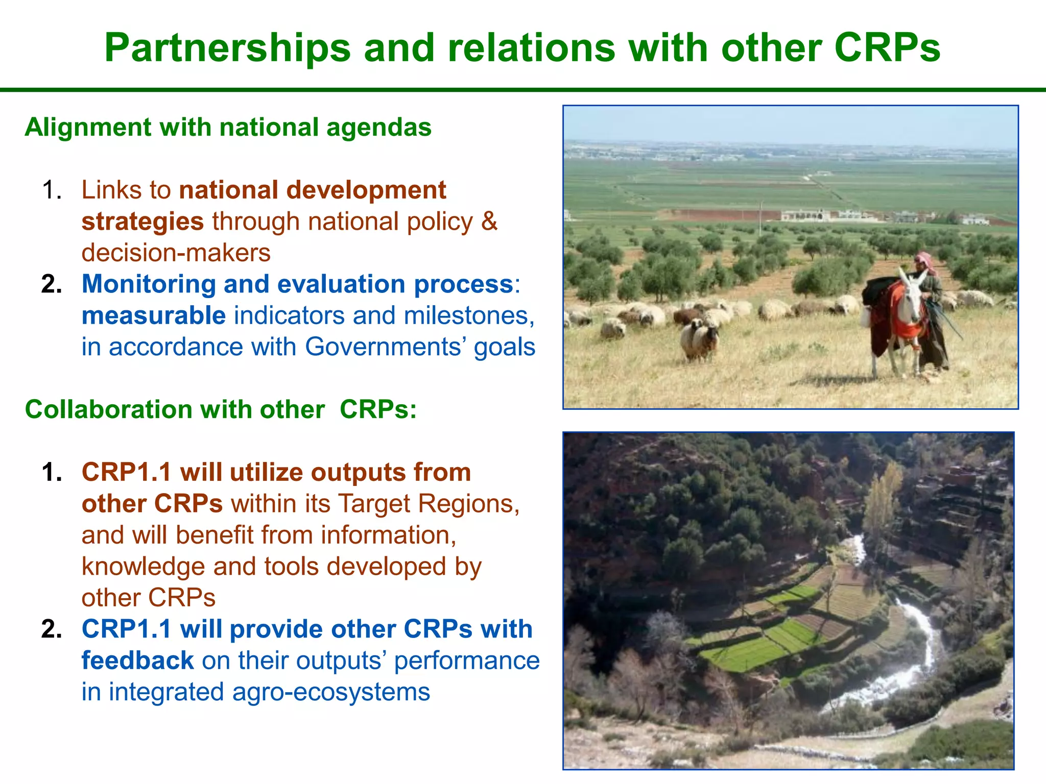 Partnerships and relations with other CRPs
Alignment with national agendas

 1. Links to national development
    strategies through national policy &
    decision-makers
 2. Monitoring and evaluation process:
    measurable indicators and milestones,
    in accordance with Governments’ goals

Collaboration with other CRPs:

 1. CRP1.1 will utilize outputs from
    other CRPs within its Target Regions,
    and will benefit from information,
    knowledge and tools developed by
    other CRPs
 2. CRP1.1 will provide other CRPs with
    feedback on their outputs’ performance
    in integrated agro-ecosystems
 