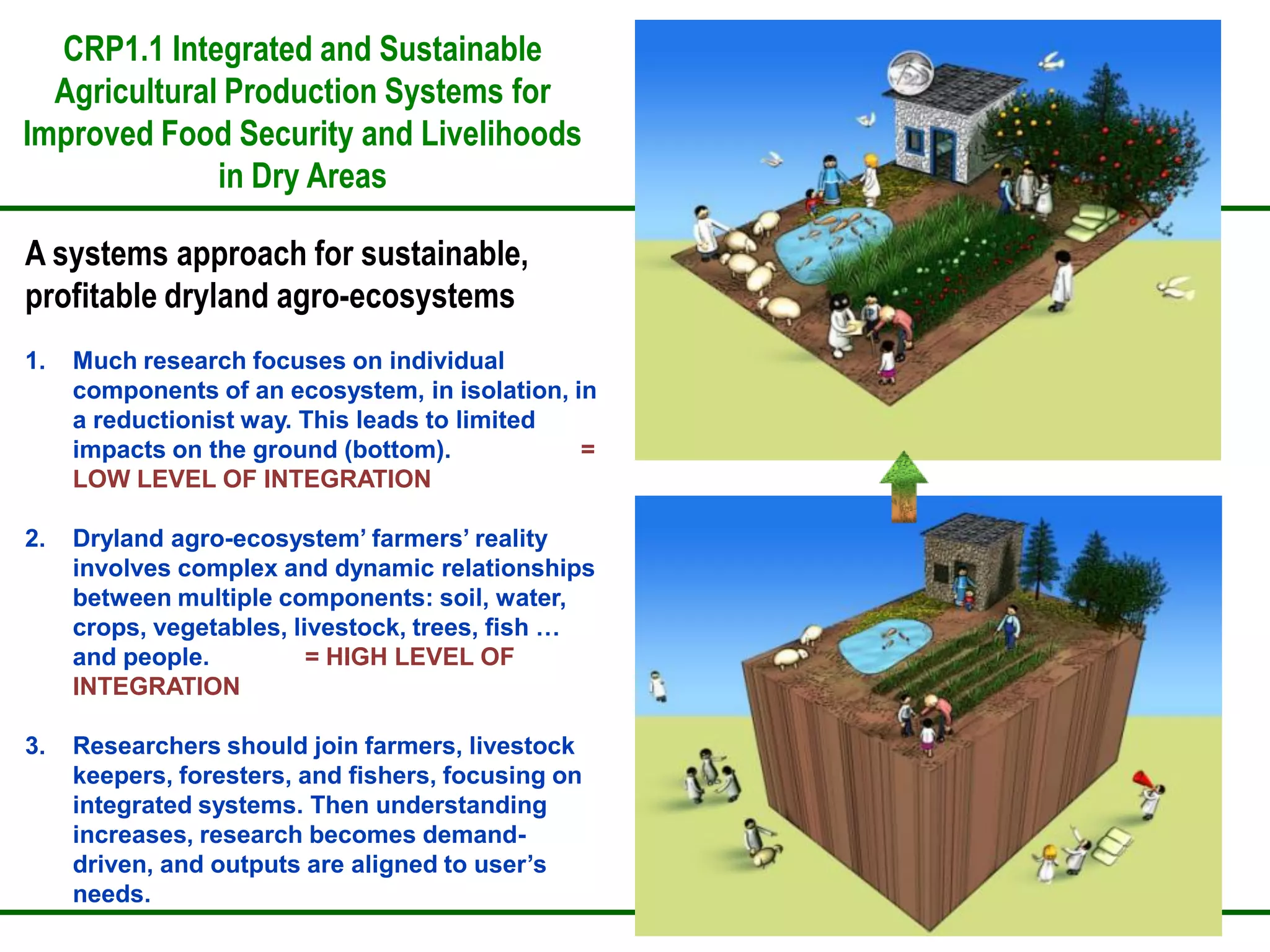 CRP1.1 Integrated and Sustainable
  Agricultural Production Systems for
Improved Food Security and Livelihoods
              in Dry Areas

A systems approach for sustainable,
profitable dryland agro-ecosystems
1.   Much research focuses on individual
     components of an ecosystem, in isolation, in
     a reductionist way. This leads to limited
     impacts on the ground (bottom).            =
     LOW LEVEL OF INTEGRATION

2.   Dryland agro-ecosystem’ farmers’ reality
     involves complex and dynamic relationships
     between multiple components: soil, water,
     crops, vegetables, livestock, trees, fish …
     and people.          = HIGH LEVEL OF
     INTEGRATION

3.   Researchers should join farmers, livestock
     keepers, foresters, and fishers, focusing on
     integrated systems. Then understanding
     increases, research becomes demand-
     driven, and outputs are aligned to user’s
     needs.
 