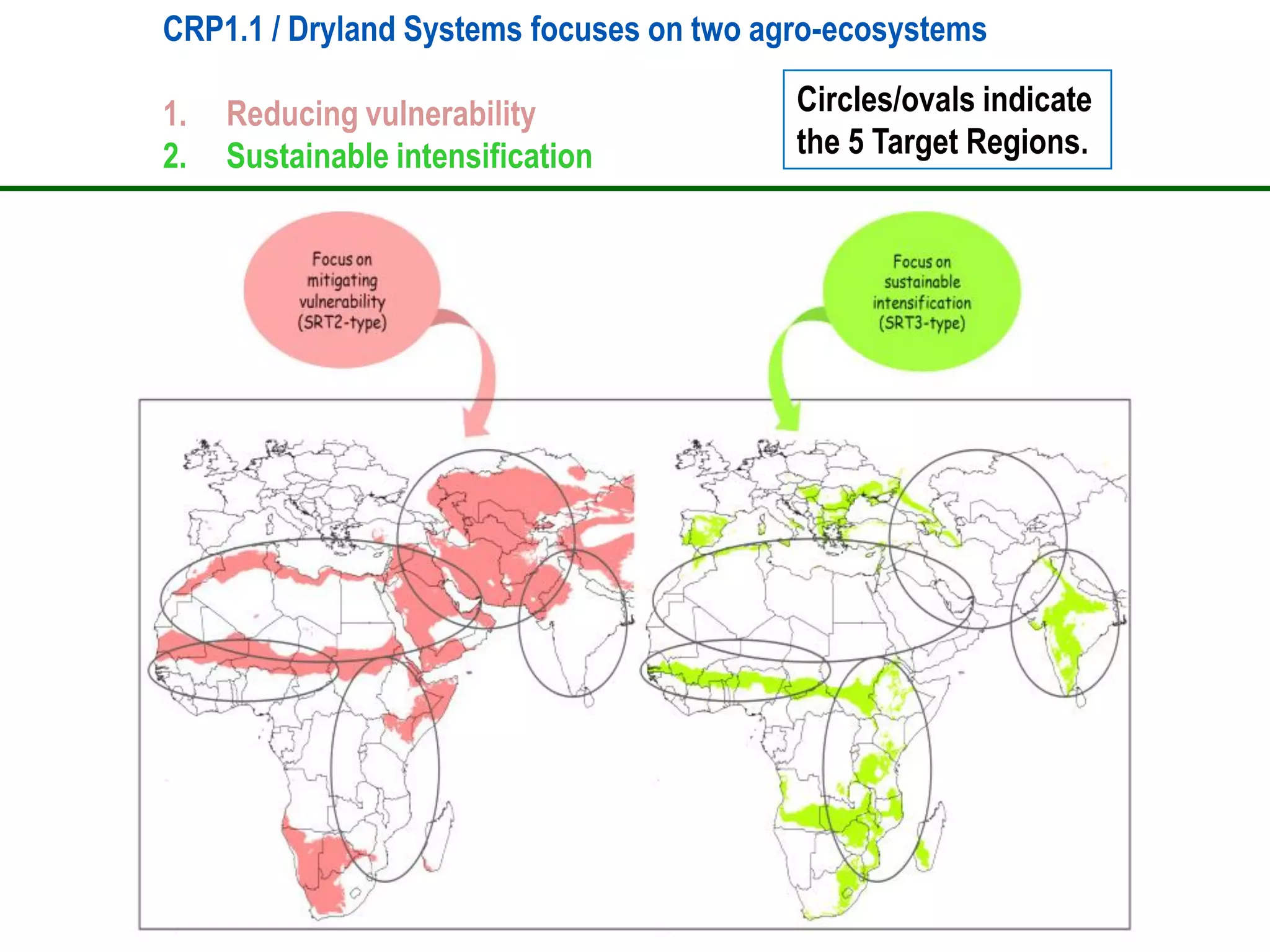 CRP1.1 / Dryland Systems focuses on two agro-ecosystems

1.   Reducing vulnerability               Circles/ovals indicate
2.   Sustainable intensification          the 5 Target Regions.
 