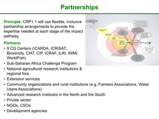 The CGIAR Research Program on Dryland Systems: Scientific content  and progress in the inception phase
