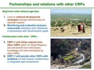 The CGIAR Research Program on Dryland Systems: Scientific content  and progress in the inception phase