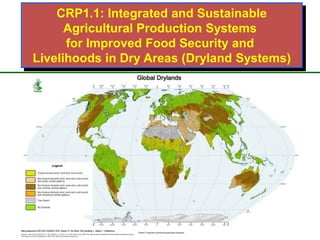 The CGIAR Research Program on Dryland Systems: Scientific content  and progress in the inception phase