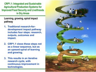 The CGIAR Research Program on Dryland Systems: Scientific content  and progress in the inception phase