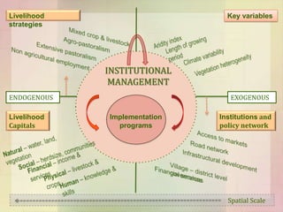 Applying a systems framework to research on African farming systems