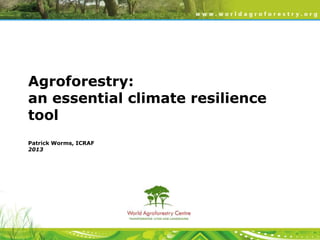 Agroforestry:
an essential climate resilience
tool
Patrick Worms, ICRAF
2013

 