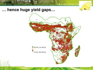 … hence huge yield gaps…

 