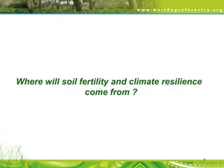 Where will soil fertility and climate resilience
come from ?

7

 