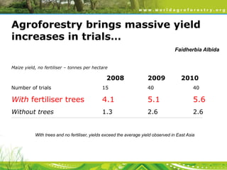Agroforestry brings massive yield
increases in trials…
Faidherbia Albida
Maize yield, no fertiliser – tonnes per hectare

2008

2009

2010

Number of trials

15

40

40

With fertiliser trees

4.1

5.1

5.6

Without trees

1.3

2.6

2.6

________________________________________________________________________________________________________________________________________________________________________________________________

With trees and no fertiliser, yields exceed the average yield observed in East Asia

 