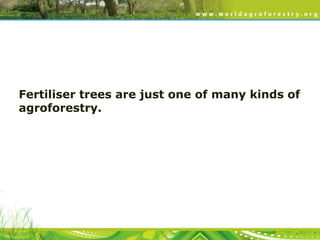 Fertiliser trees are just one of many kinds of
agroforestry.

 