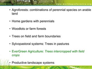 • Agroforests: combinations of perennial species on arable
land
• Home gardens with perennials
• Woodlots or farm forests
• Trees on field and farm boundaries

• Sylvopastoral systems: Trees in pastures
• EverGreen Agriculture: Trees intercropped with field
crops
• Productive landscape systems

 
