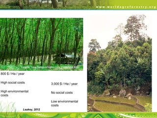 800 $ / Ha / year
High social costs

3,000 $ / Ha / year

High environmental
costs

No social costs
Low environmental
costs

Leakey, 2012

 