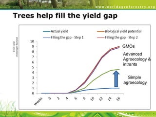Crop yield
(tonnes per hectare)

Trees help fill the yield gap

GMOs

Advanced
Agroecology &
intrants
Simple
agroecology

 
