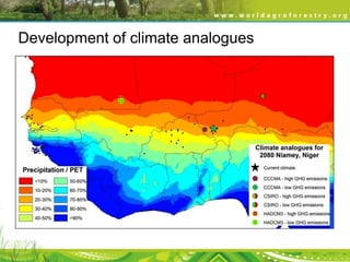 Development of climate analogues

 