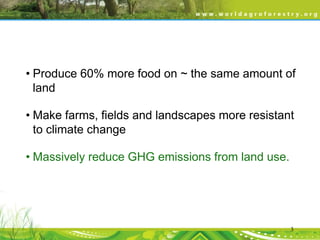 • Produce 60% more food on ~ the same amount of
land
• Make farms, fields and landscapes more resistant
to climate change
• Massively reduce GHG emissions from land use.

3

 