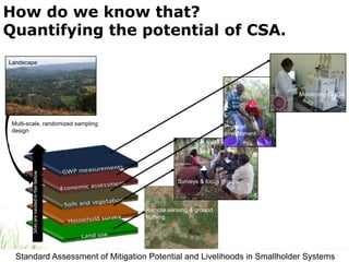How do we know that?
Quantifying the potential of CSA.
Landscape

Monitoring GHGs

Multi-scale, randomized sampling
design

Physical
environment

Surveys & focus groups

Remote sensing & ground
truthing

Standard Assessment of Mitigation Potential and Livelihoods in Smallholder Systems

 