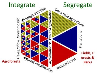 Agroforests
Plantations

deforestation re- and afforestation

Fields,fallow, forest mosaic

Integrate
Segregate

Fields, F
orests &
Parks

 