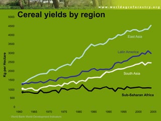 5000

Cereal yields by region

4500
4000

East Asia

Kg per Hectare

3500

Latin America

3000
2500
2000

South Asia

1500

1000

Sub-Saharan Africa
500
0
1960

1965

1970

1975

World Bank World Development Indicators

1980

1985

1990

1995

2000

2005

 