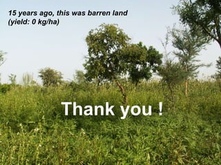 15 years ago, this was barren land
(yield: 0 kg/ha)

Thank you !

 