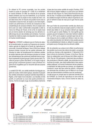 Sorghum in poultry feed brings extra value to the crop-livestock system (French)