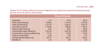 Sorghum in poultry feed brings extra value to the crop-livestock system (French)
