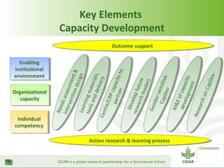 Dryland Systems' capacity development