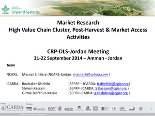 1 
Market Research 
High Value Chain Cluster, Post-Harvest & Market Access 
Activities 
CRP-DLS-Jordan Meeting 
21-22 September 2014 – Amman - Jordan 
Team 
NCARE: Masnat El Hiary (NCARE-Jordan: masnath@yahoo.com ) 
ICARDA: Boubaker Dhehibi (SEPRP – ICARDA: b.dhehibi@cgiar.org) 
Shinan Kassam (SEPRP- ICARDA: S.Kassam@cgiar.org ) 
Girma Tesfahun Kassie (SEPRP-ICARDA: g.tesfahun@cgiar.org ) 
 
