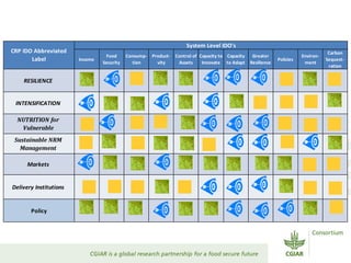 Dryland Systems – Presentation for Discussion with Donors and Partners – June 2013
