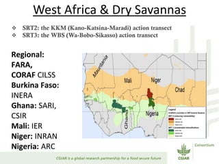 Dryland Systems – Presentation for Discussion with Donors and Partners – June 2013