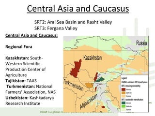 Dryland Systems – Presentation for Discussion with Donors and Partners – June 2013