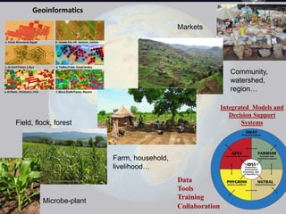 Dryland Systems – Presentation for Discussion with Donors and Partners – June 2013