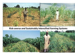 Dryland Systems – Presentation for Discussion with Donors and Partners – June 2013