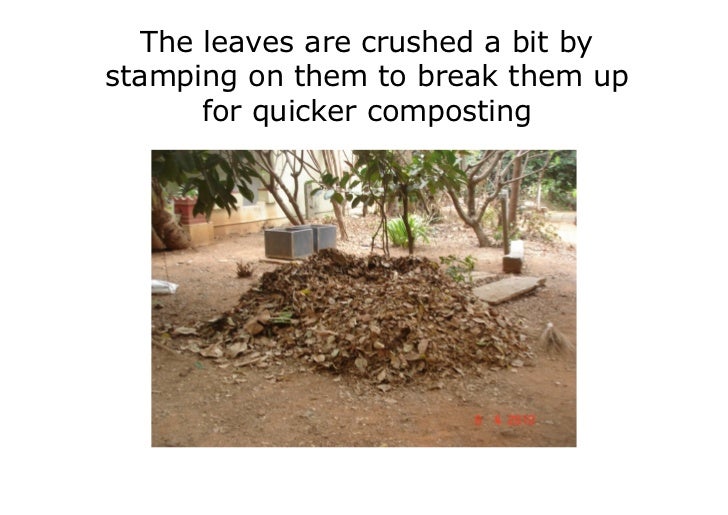 Dry leaf litter composting
