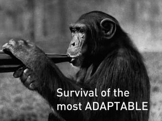 Survival of the
most ADAPTABLE
 