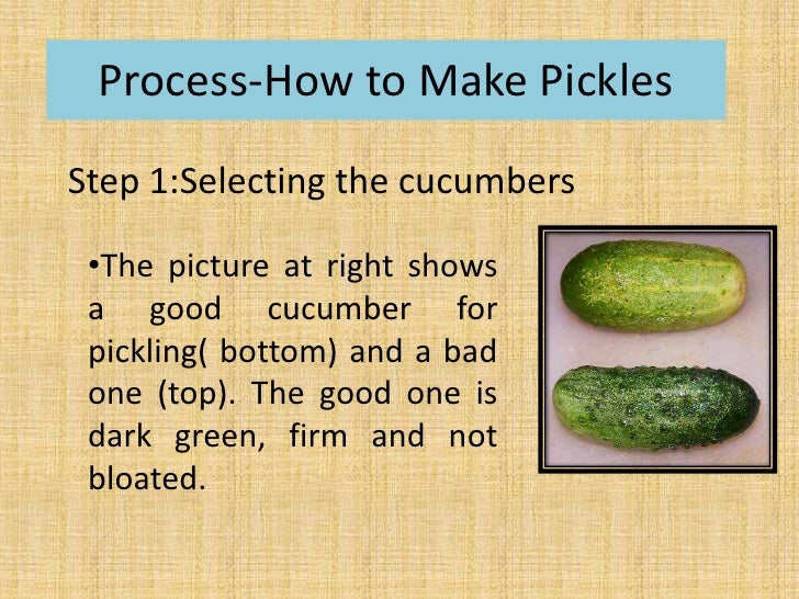 Dry salt cucumber (preserving method and principle)