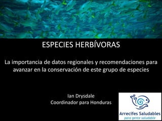 ESPECIES HERBÍVORAS
La importancia de datos regionales y recomendaciones para
avanzar en la conservación de este grupo de especies
Ian Drysdale
Coordinador para Honduras
 