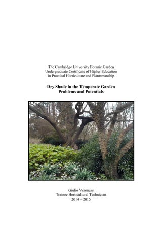The Cambridge University Botanic Garden
Undergraduate Certificate of Higher Education
in Practical Horticulture and Plantsmanship
Dry Shade in the Temperate Garden
Problems and Potentials
Giulio Veronese
Trainee Horticultural Technician
2014 – 2015
 