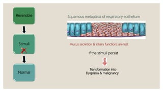 Cellular Adaptation | PPTX