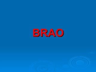 BRAO
 