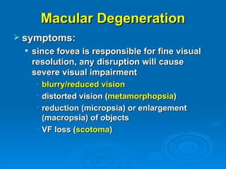 Macular Degeneration
 symptoms:
    since fovea is responsible for fine visual
     resolution, any disruption will cause
     severe visual impairment
      • blurry/reduced vision
      • distorted vision (metamorphopsia)
      • reduction (micropsia) or enlargement
        (macropsia) of objects
      • VF loss (scotoma)
 