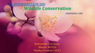 A presentation on:
Wildlife Conservation
ABHISHEK GIRI
Barkatullah University
Bhopal, 462026
Madhya Pradesh ( M.P.)
 