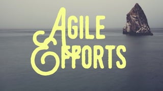 Agile
Efforts
 
