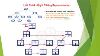 Left Child - Right Sibling Representation
 