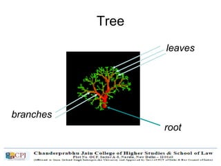 Tree
branches
leaves
root
 