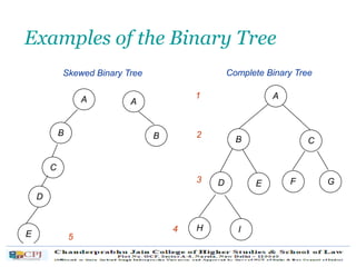 Examples of the Binary Tree
A
B C
GE
I
D
H
F
Complete Binary Tree
1
2
3
4
A
B
A
B
Skewed Binary Tree
E
C
D
5
 