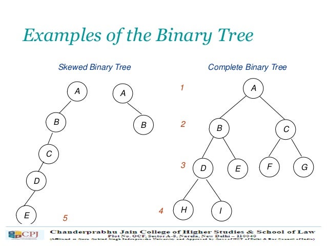 Data Structure Using C