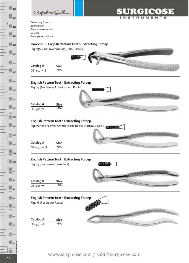 DENTAL EXTRACTION INSTRUMENTS