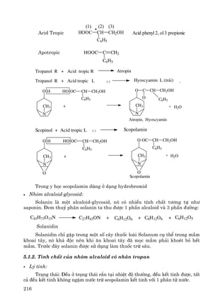 216
Acid phenyl 2, ol 3 propionic
(1) (2) (3)
HOOC CH CH2OH
C6H5
HOOC C CH2
C6H5
AtropinTropanol R + Acid tropic R
.Hyoscyamin L (tr¸i)Tropanol R + Acid tropic L (-)
Atropin, Hyoscyamin
N
CH3
O C
O
CH CH2OH
C6H5
+
CH CH2OH
C6H5
HO OCH
N
CH3
O
H2O+
ScopolaminScopinol + Acid tropic L (-)
Scopolamin
N
CH3
O
O
H HO OC CH CH2OH
C6H5
+
N
CH3
O OC
O
CH CH2OH
C6H5
H2O+
Trong y häc scopolamin dïng ë d¹ng hydrobromid
• Nhãm alcaloid-glycosid:
Solanin lμ mét alcaloid-glycosid, nã cã nhiÒu tÝnh chÊt t−¬ng tù nh−
saponin. §em thuû ph©n solanin ta thu ®−îc 1 phÇn alcaloid vμ 3 phÇn ®−êng:
C6H12O6+ + + C6H12O5C6H12O6C27H43ONC45H73O15N
Solanidin
Solanidin chØ gÆp trong mét sè c©y thuèc loμi Solanum cô thÓ trong mÇm
khoai t©y, nã kh¸ ®éc nªn khi ¨n khoai t©y ®· mäc mÇm ph¶i khoÐt bá hÕt
mÇm. Tr−íc ®©y solanin ®−îc sö dông lμm thuèc trõ s©u.
5.1.2. TÝnh chÊt cña nhãm alcaloid cã nh©n tropan
Lý tÝnh:
Tr¹ng th¸i: §Òu ë tr¹ng th¸i r¾n t¹i nhiÖt ®é th−êng, ®Òu kÕt tinh ®−îc, tÊt
c¶ ®Òu kÕt tinh kh«ng ngËm n−íc trõ scopolamin kÕt tinh víi 1 ph©n tö n−íc.
Acid Tropic
Apotropic
 